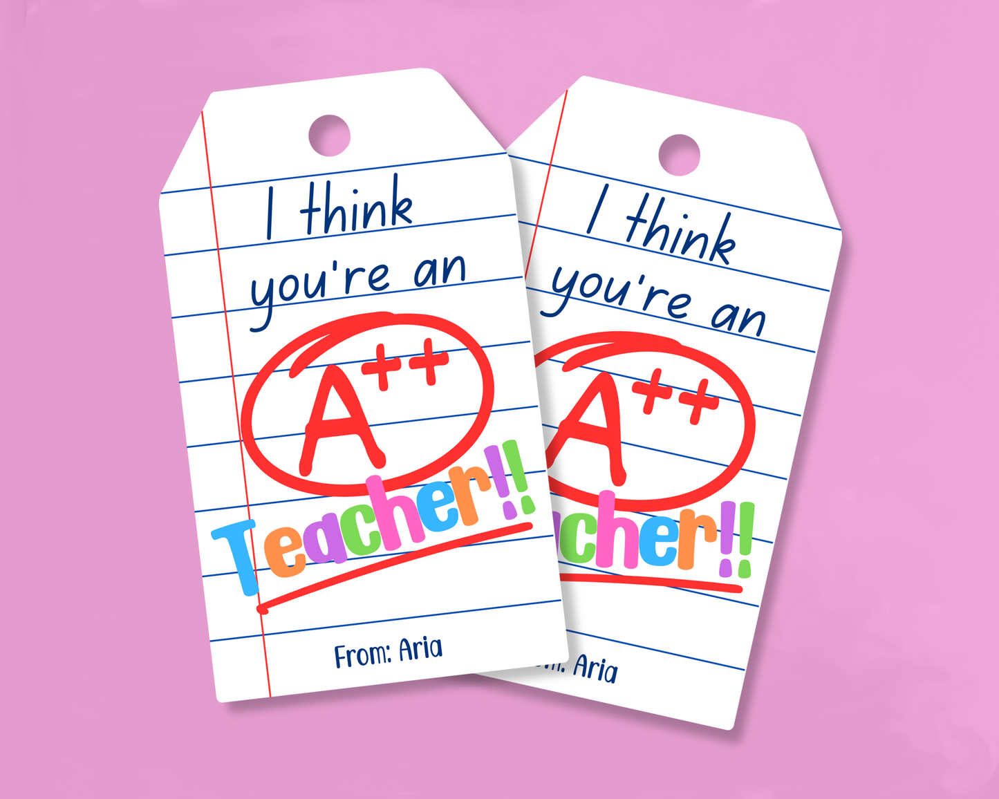 EDITABLE Teacher Appreciation Gift Tag