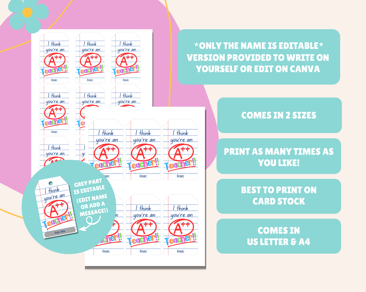 EDITABLE Teacher Appreciation Gift Tag
