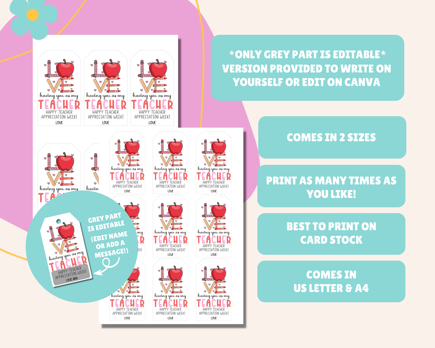 EDITABLE Teacher Appreciation Gift Tag