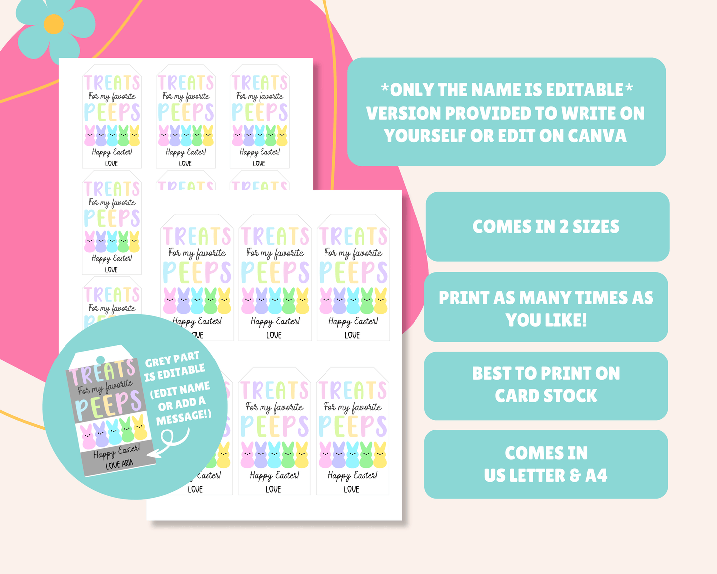Editable Easter Gift Tags, Printable Easter Basket Tags