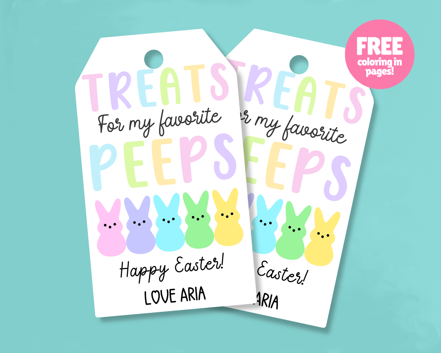 Editable Easter Gift Tags, Printable Easter Basket Tags