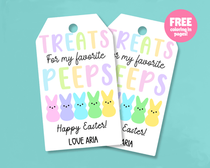 Editable Easter Gift Tags, Printable Easter Basket Tags
